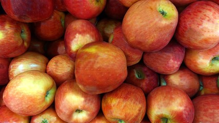 Royal Gala apples (Malus Royal Gala)