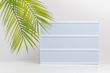 Palm leaves with empty lightbox on white table. Mockup concept.