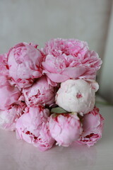 pink peonies on a white table background