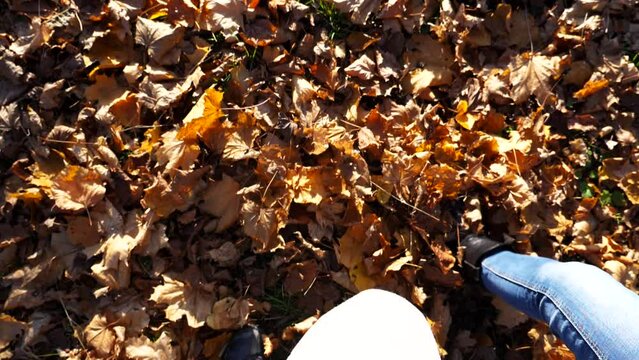 Point of view of young couple stepping together on maple leaves at forest. Male and female legs in boots going on dry foliage at autumn park. Boyfriend and girlfriend walking at wild nature. Slow mo