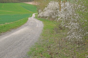Feldweg