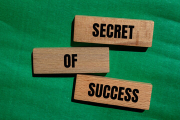 Secret of success words written on wooden blocks with green background. Conceptual secret of...