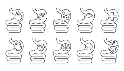 Health of stomach and digestive - icons in thin line