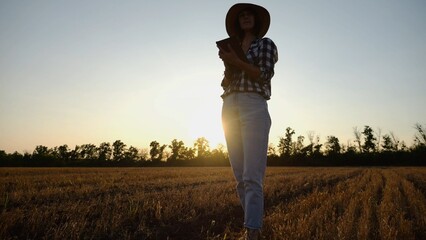 Female agronomist using digital tablet at wheat meadow at dusk. Farmer monitoring harvest at barley field at sunset. Beautiful scenic landscape. Concept of agricultural business. Slow mo - obrazy, fototapety, plakaty