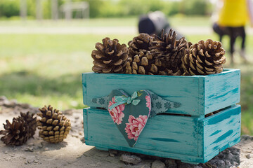 handmade wooden gift box with pinecones