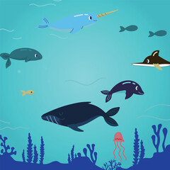 The tranquil moments of peaceful coexistence in the ocean. © Boy