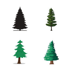 collection of pine tree illustrations  flat pine trees  3d pine trees  pine tree silhouettes