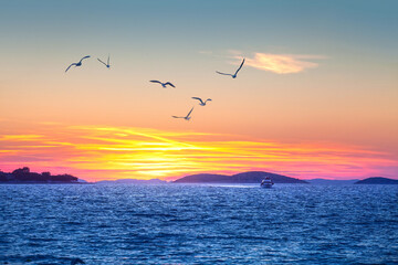 Sea gull on sunset sky and remote boat on water, Croatia - obrazy, fototapety, plakaty