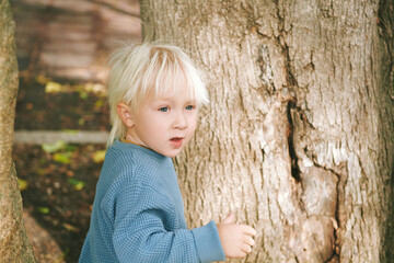 Outdoor portrait of adorable preschooler 4 - 5 year old boy playing with trees on playground