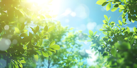 Fototapeta na wymiar Fresh spring sky background with strong sunlight shining through the trees background - Ai Generated