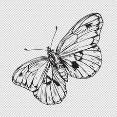 Minimalist cartoon butterfly line art style for coloring book, vector illustration on transparent background