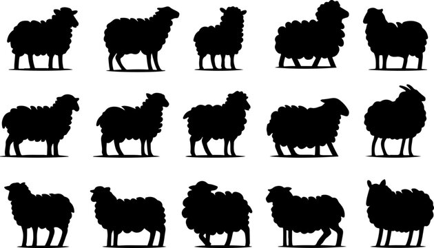 Set de silhouettes moutons vecteur noir fond transparent. Style flat design