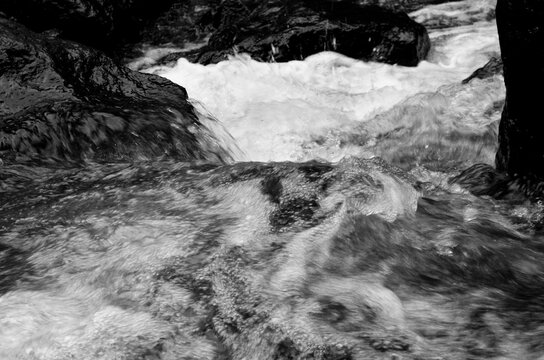 Turbulent creek water rushes over rocks, creating whitewater rapids in a shaded, natural setting.