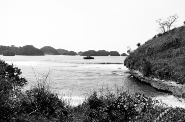 Serene black and white seascape showcasing a tranquil bay, small islands, and lush vegetation.