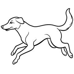 jumping dog vector illustration