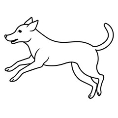 jumping dog vector illustration