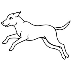jumping dog vector illustration