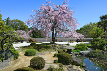 春の京都市大原野 正法寺の鳥獣の石庭