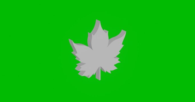 Animation of rotation of a white maple leaf symbol with shadow. Simple and complex rotation. Seamless looped 4k animation on green chroma key background