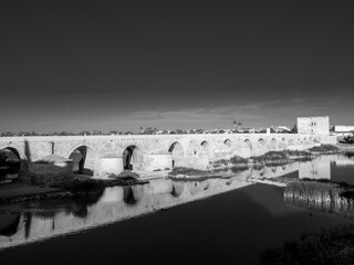 Pont romain de Cordoue et reflets dans le Guadalquivir en noir et blanc