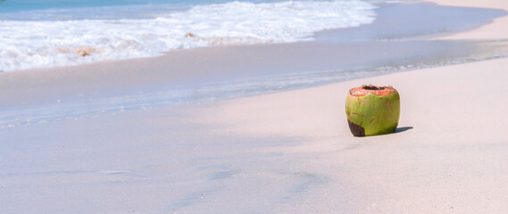 Noix de coco fraîche sur une plage de sable fin en Martinique, Antilles Françaises.	