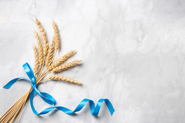 Wheat crops bouquet with blue ribbon. Happy Shavuot.
