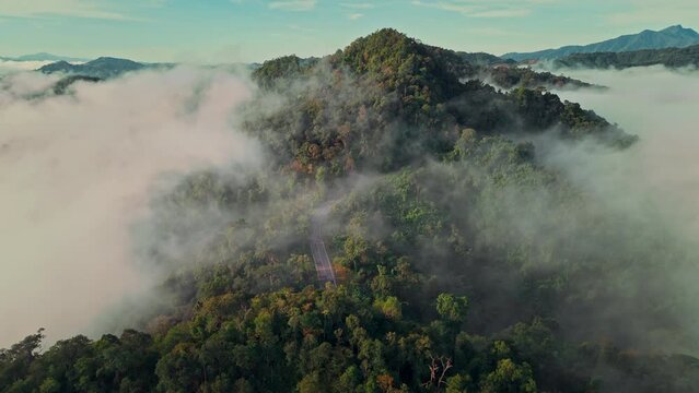 Aerial view of country road in forest morning sea of fog move flowing over mountain and forest in morning, Nan Province Northern Thailand
