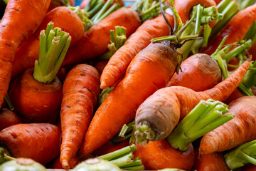 Fresh sweet organic carrots roots on Sunday farmers market on Tenerife, Canary islands, Spain,...