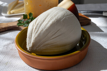 Freshly strained white soft goat cow sheep milk cheese, young Spanish cheese