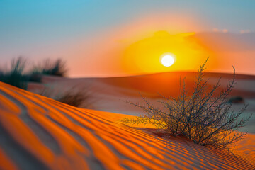 Desert Sunset with the Sun Setting on the Horizon Accentuating the Texture of the Sand, with Foreground Plants Blurred Leading into the Distant View