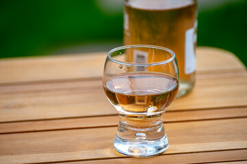 Brut apple cider from Betuwe, Gelderland, in glass, apple cider production in Netherlands
