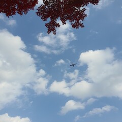 sky blue cloud skyblue airplane