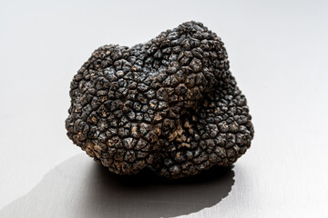 Italian black summer truffle, tasty aromatic mushroom, close up