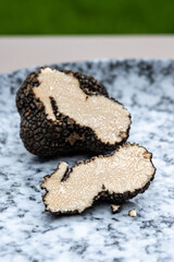 Italian black summer truffle, tasty aromatic mushroom, close up