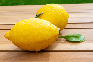 Fresh ripe yellow Italian lemons from Sorrento, new harvest