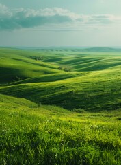 Naklejka premium b'Green rolling hills under blue sky with white clouds'