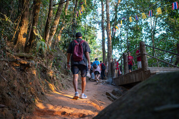 Asian tourists are walking up Khao Khitchakut, through large trees in the forest, tourist...
