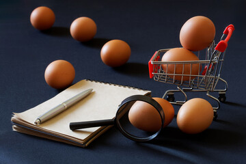 Chicken eggs, magnifying glass, shopping cart, notepad and ballpoint pen lying on a dark...