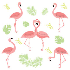 Cute flamingo illustration set. Pink bird in different poses. Vector illustration