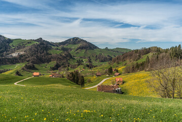 Hilly landscape in the Appenzellerland with farm houses and dandelion meadows in spring, Canton of Appenzell Innerrhoden, Switzerland