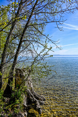 Bevaix, Cortaillod, La Pointe du grain, Neuenburgersee, Seeufer, Uferweg, Kieselstrand, Wassersport, Schifffahrt, Naturschutz, Frühling, Neuenburg, Alpenpanorama, Schweiz