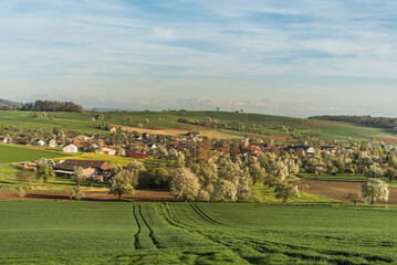 Spring landscape in Hegau, view of the village of Watterdingen, in the background the Swiss Alps, Baden-Wuerttemberg, Germany