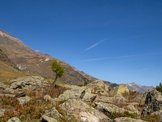 Blick auf die felsige Landschaft im Passeiertal bei Pfelders im Naturpark Texelgruppe, Südtirol, Italien