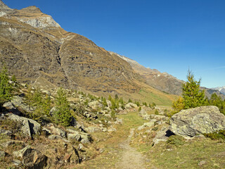 Ein Wanderweg führt durch die herbstliche Landschaft im Passeiertal bei Pfelders im Naturpark Texelgruppe, Südtirol, Italien - 794051181