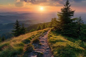 Trail to Mountain Top with Sun, Danzwiesen, Milseburg, Rhon Mountain Range, Hesse
