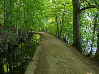 Ein Wanderweg führt durch den Wald am Dieksee in der Holsteinischen Schweiz in der Nähe von Plön, Deutschland - 794051391