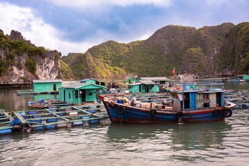 Fototapeta na wymiar Floating fishing village in sea bay in Vietnam, boats and islands