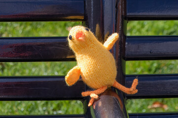 knitted Easter chicken on a bench in Titchfield Hampshire England