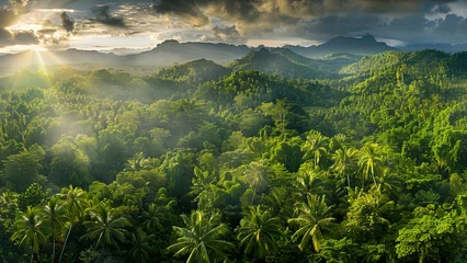 Foto op Plexiglas panoramic view of the tropical jungle, tropical forest scenery, tropical green landscape © Gegham
