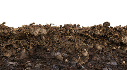Soil Isolated on Transparent Background
 - Powered by Adobe